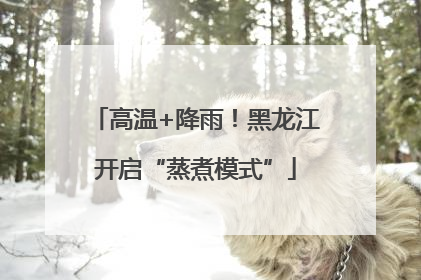 高温+降雨！黑龙江开启“蒸煮模式”