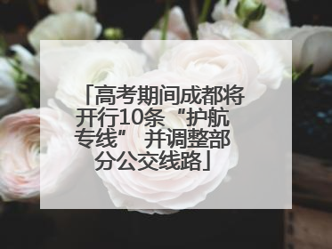 高考期间成都将开行10条“护航专线” 并调整部分公交线路