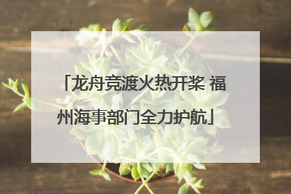 龙舟竞渡火热开桨 福州海事部门全力护航