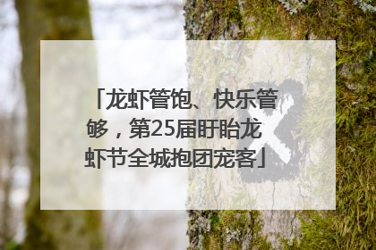 龙虾管饱、快乐管够，第25届盱眙龙虾节全城抱团宠客