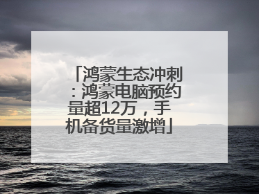 鸿蒙生态冲刺：鸿蒙电脑预约量超12万，手机备货量激增