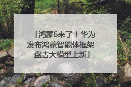 鸿蒙6来了！华为发布鸿蒙智能体框架 盘古大模型上新
