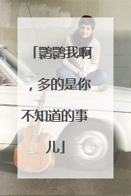 鹮鹮我啊，多的是你不知道的事儿