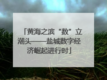 黄海之滨“数”立潮头——盐城数字经济崛起进行时