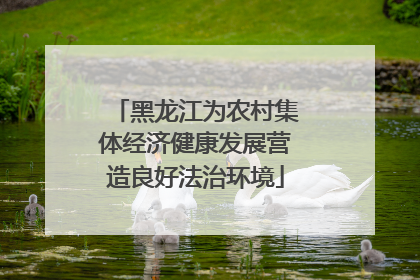 黑龙江为农村集体经济健康发展营造良好法治环境