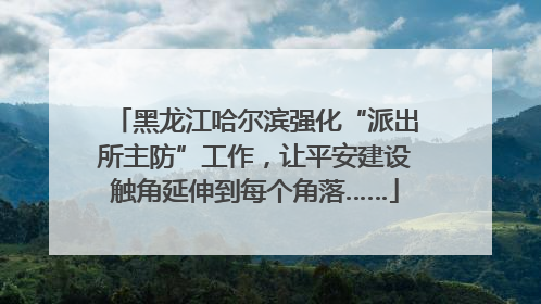 黑龙江哈尔滨强化“派出所主防”工作，让平安建设触角延伸到每个角落……