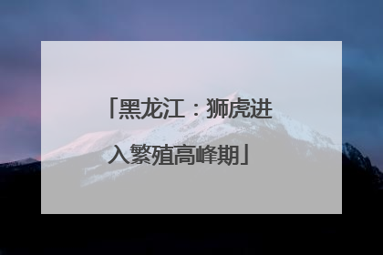 黑龙江：狮虎进入繁殖高峰期