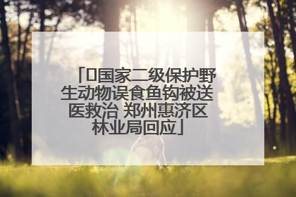 ﻿国家二级保护野生动物误食鱼钩被送医救治 郑州惠济区林业局回应