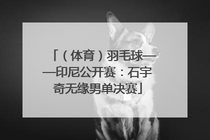（体育）羽毛球——印尼公开赛：石宇奇无缘男单决赛
