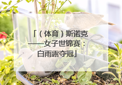 （体育）斯诺克——女子世锦赛：白雨露夺冠