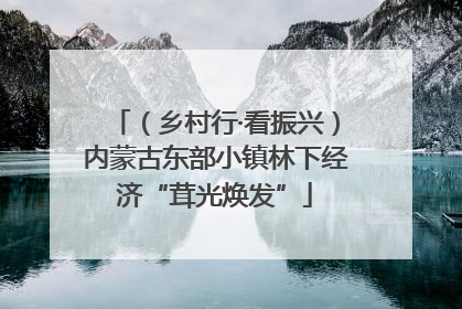 （乡村行·看振兴）内蒙古东部小镇林下经济“茸光焕发”