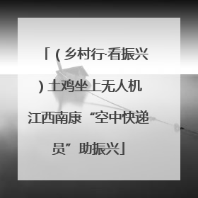 （乡村行·看振兴）土鸡坐上无人机 江西南康“空中快递员”助振兴