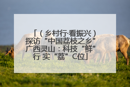 （乡村行·看振兴）探访“中国荔枝之乡”广西灵山：科技“鲜”行 实“荔”C位