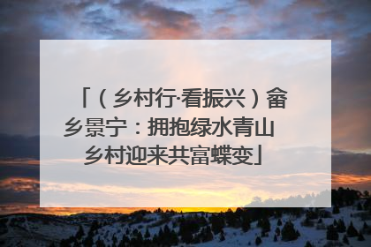（乡村行·看振兴）畲乡景宁：拥抱绿水青山 乡村迎来共富蝶变
