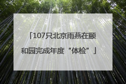 107只北京雨燕在颐和园完成年度“体检”
