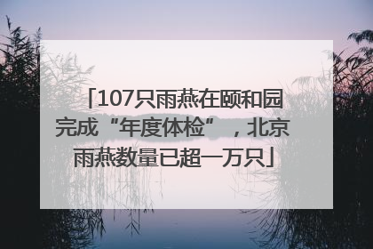 107只雨燕在颐和园完成“年度体检”，北京雨燕数量已超一万只