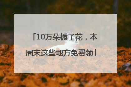10万朵栀子花，本周末这些地方免费领