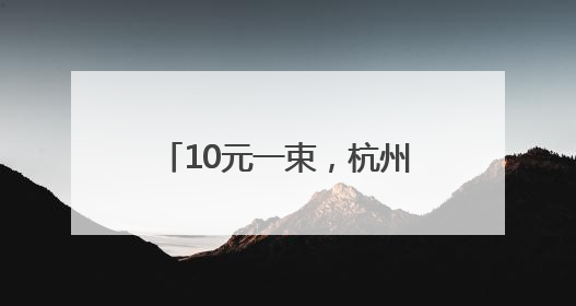 10元一束，杭州人期盼的“夏日限定浪漫”上线，有人年年准时守候