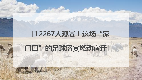 12267人观赛！这场“家门口”的足球盛宴燃动宿迁