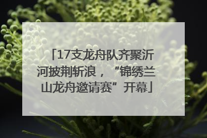 17支龙舟队齐聚沂河披荆斩浪，“锦绣兰山龙舟邀请赛”开幕