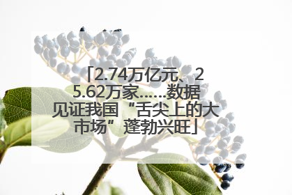 2.74万亿元、25.62万家……数据见证我国“舌尖上的大市场”蓬勃兴旺