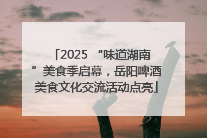 2025 “味道湖南”美食季启幕，岳阳啤酒美食文化交流活动点亮