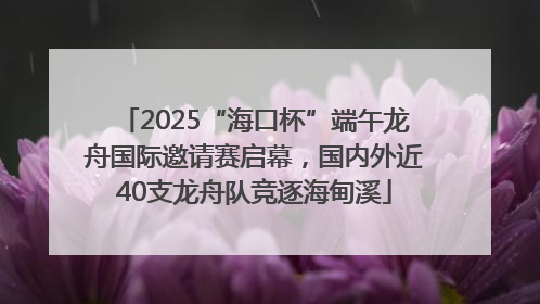 2025“海口杯”端午龙舟国际邀请赛启幕，国内外近40支龙舟队竞逐海甸溪