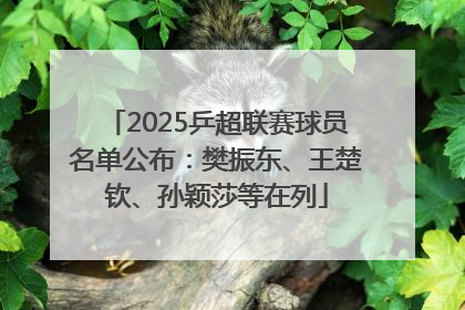 2025乒超联赛球员名单公布：樊振东、王楚钦、孙颖莎等在列