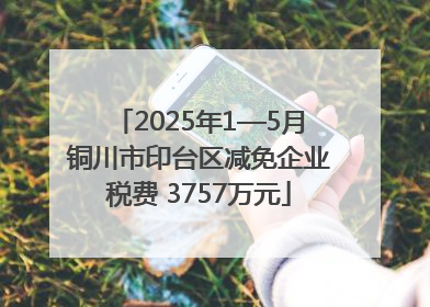2025年1—5月铜川市印台区减免企业税费 3757万元