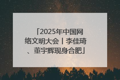 2025年中国网络文明大会丨李佳琦、董宇辉现身合肥
