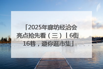 2025年廊坊经洽会亮点抢先看（三）丨6街16巷，邀你逛市集