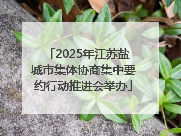 2025年江苏盐城市集体协商集中要约行动推进会举办