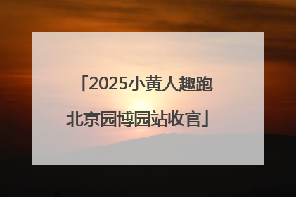 2025小黄人趣跑北京园博园站收官
