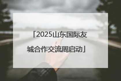 2025山东国际友城合作交流周启动