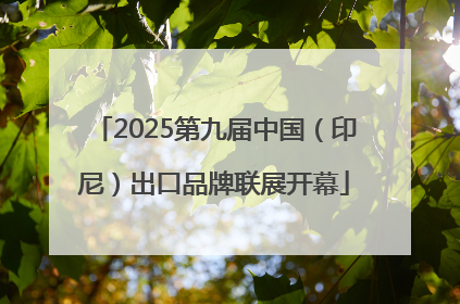 2025第九届中国（印尼）出口品牌联展开幕