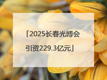 2025长春光博会引资229.3亿元