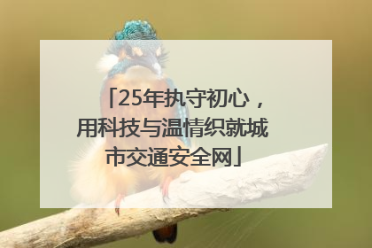 25年执守初心，用科技与温情织就城市交通安全网