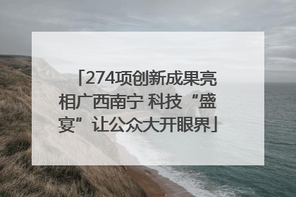 274项创新成果亮相广西南宁 科技“盛宴”让公众大开眼界