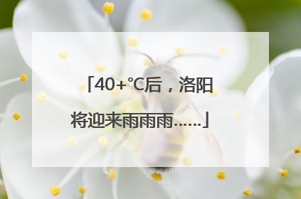 40+℃后，洛阳将迎来雨雨雨……