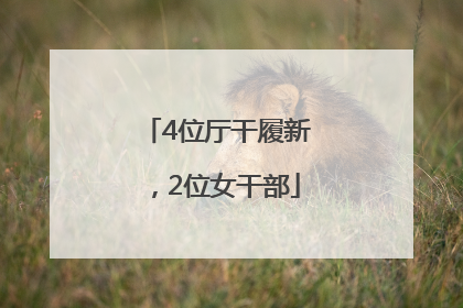 4位厅干履新，2位女干部