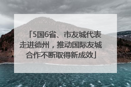 5国6省、市友城代表走进德州，推动国际友城合作不断取得新成效