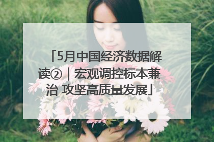 5月中国经济数据解读②｜宏观调控标本兼治 攻坚高质量发展