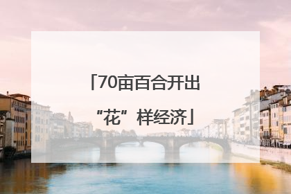 70亩百合开出“花”样经济