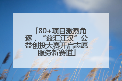 80+项目激烈角逐，“益汇江汉”公益创投大赛开启志愿服务新赛道