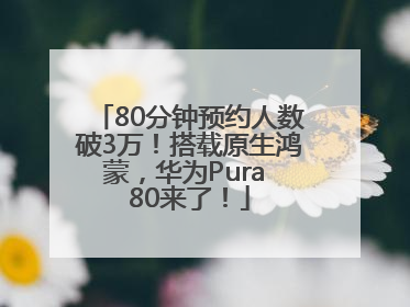80分钟预约人数破3万！搭载原生鸿蒙，华为Pura 80来了！