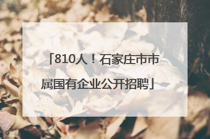 810人！石家庄市市属国有企业公开招聘