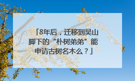 8年后，迁移到吴山脚下的“朴树弟弟”能申请古树名木么？