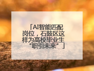 AI智能匹配岗位，石鼓区这样为高校毕业生“职引未来”