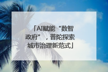 AI赋能“数智政府”，普陀探索城市治理新范式
