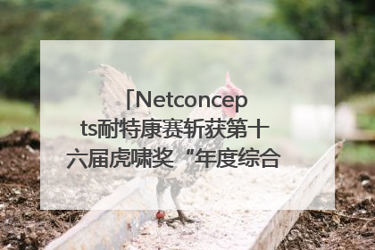 Netconcepts耐特康赛斩获第十六届虎啸奖“年度综合服务商”大奖